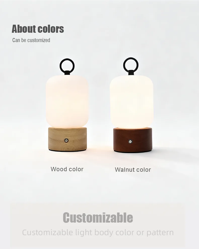 Rechargeable Sleep & Night Light functions and construction